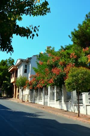 Con đường nội khu rợp bóng cây xanh tại khu biệt thự Vinhomes Hóc Môn