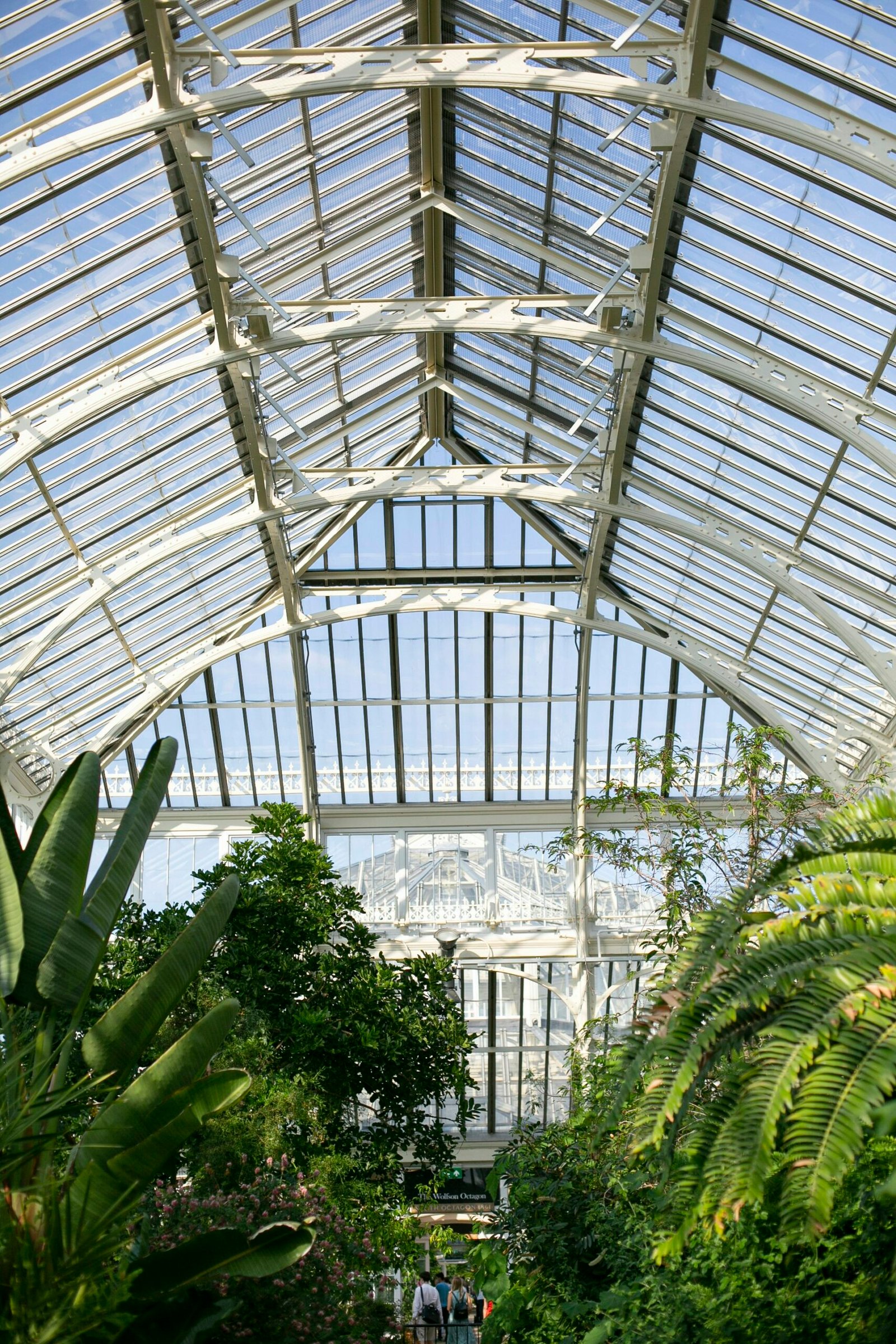 Vườn bách thảo Botanica Park trong khu đô thị Vinhomes Hóc Môn